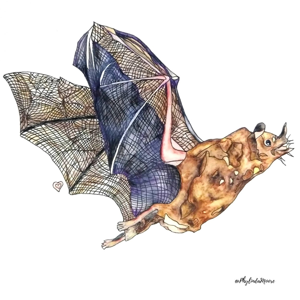Bat Sticker