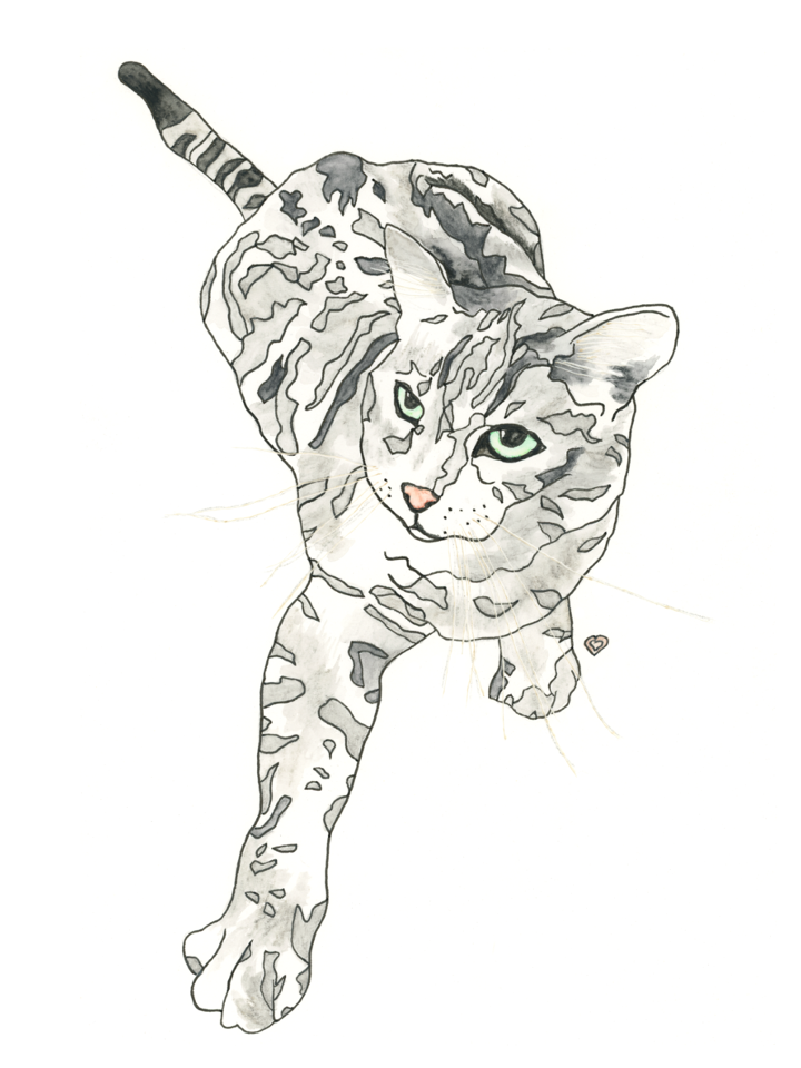 Custom Pet Portrait