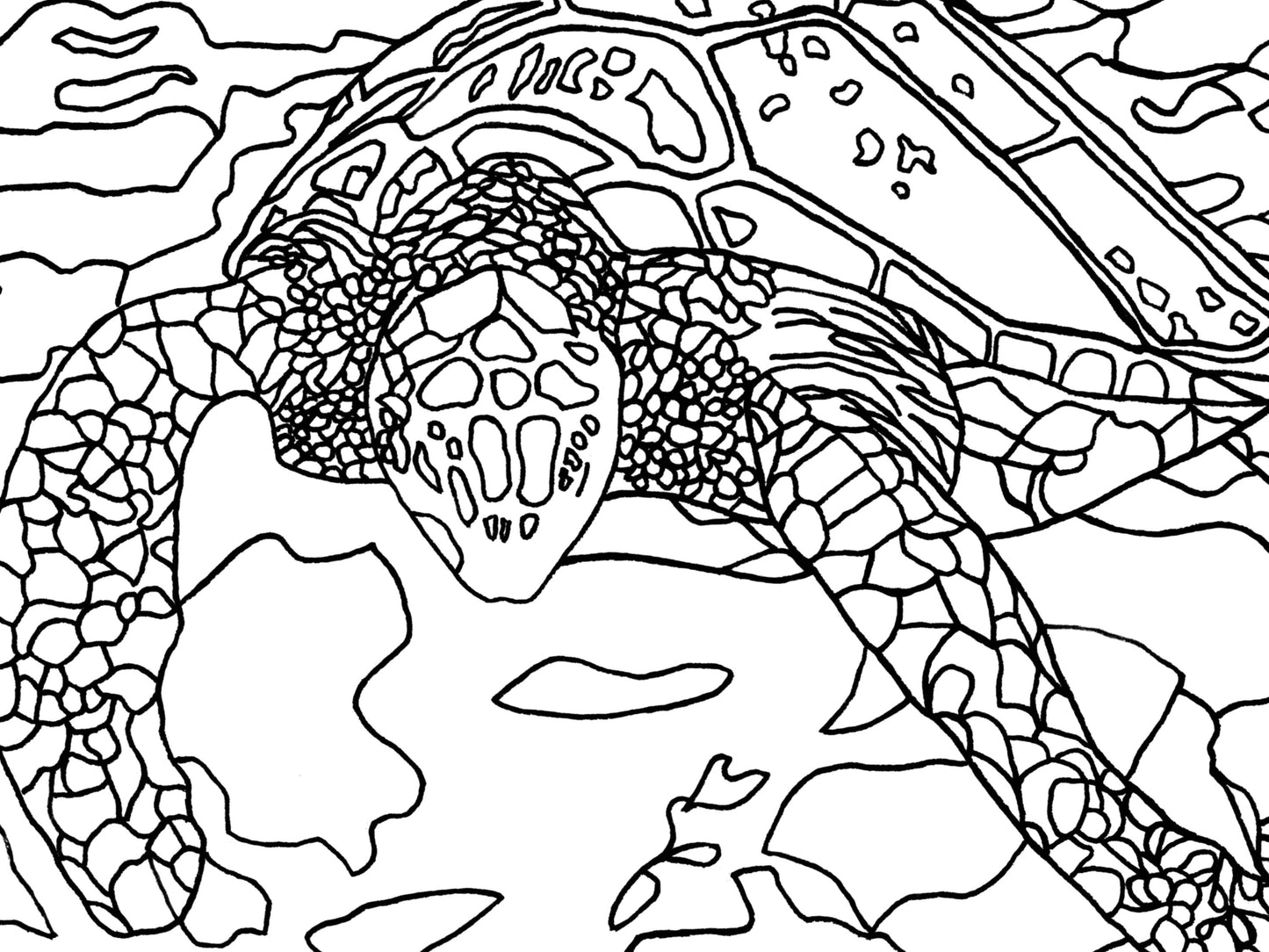 California State Turtle. Pacific Leatherback Sea Turtle Art Print. California State Symbol Sea Turtle Art