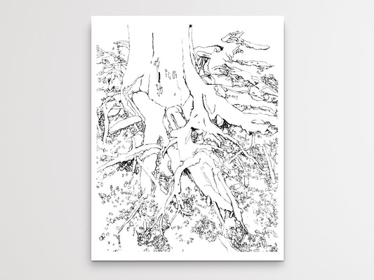Tree Roots Line Art Print