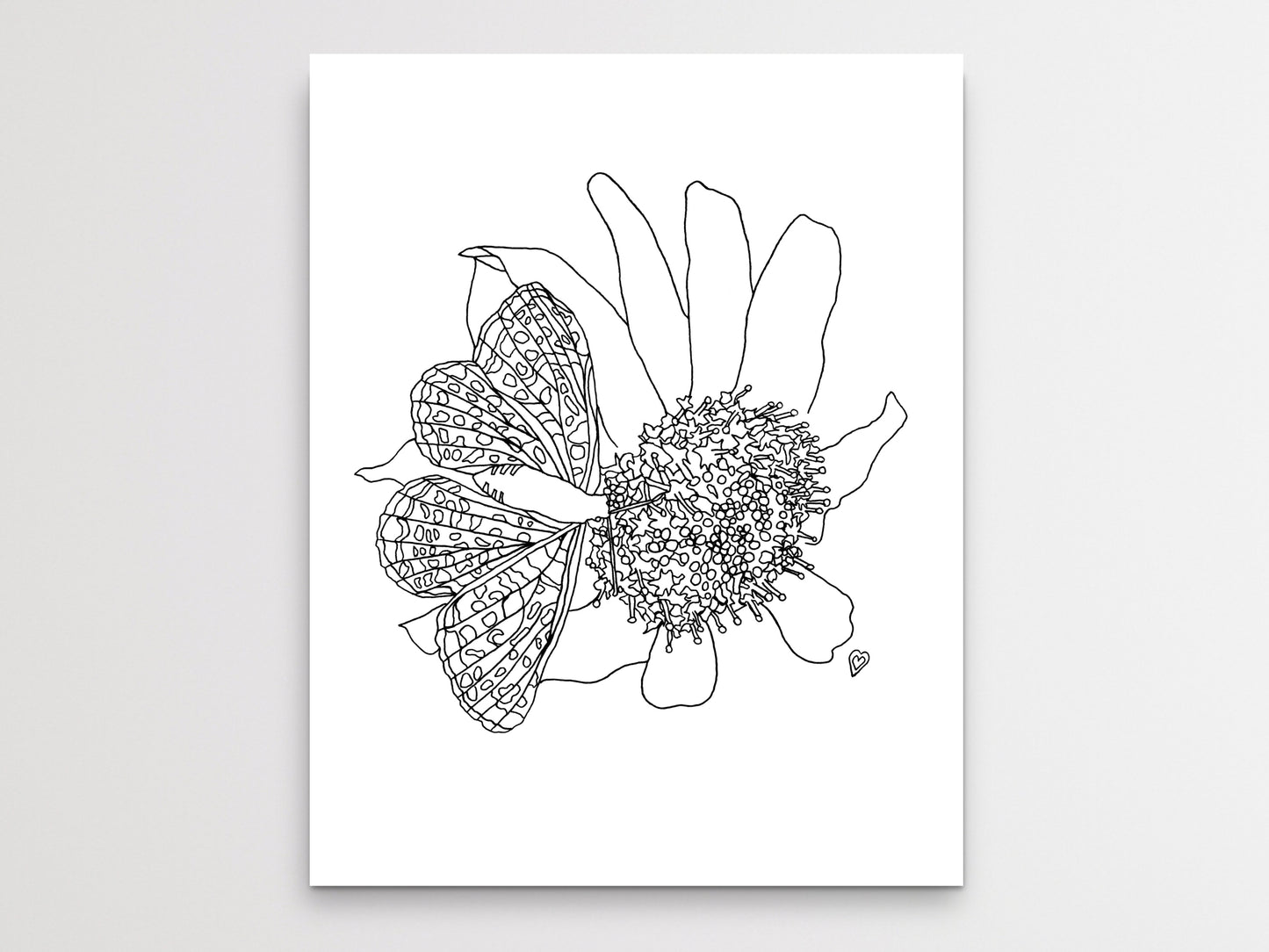 Maryland State Butterfly Print. Baltimore Checkerspot Butterfly Art