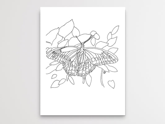 Oklahoma State Butterfly. Black Swallowtail Butterfly Line Art Print 1