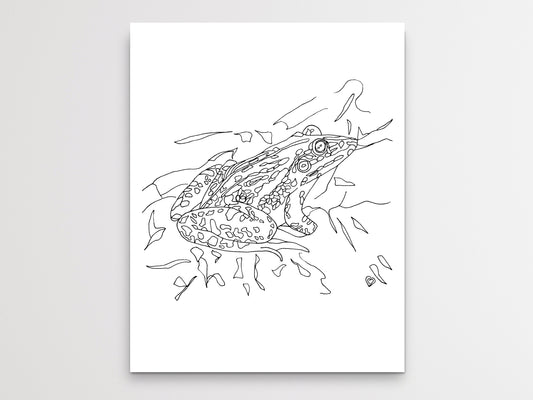 Oklahoma State Frog. Bullfrog Line Art Print