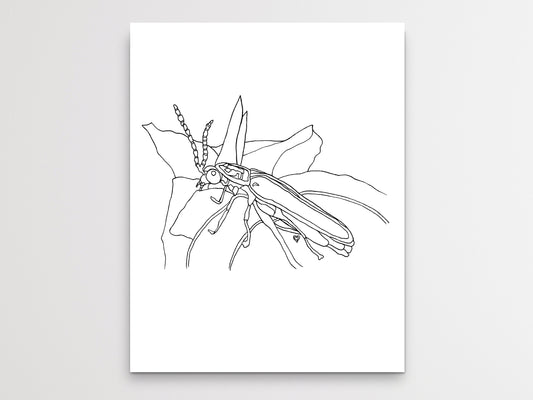 Pennsylvania State Insect. Firefly Art Print. Pennsylvania State Symbol Art