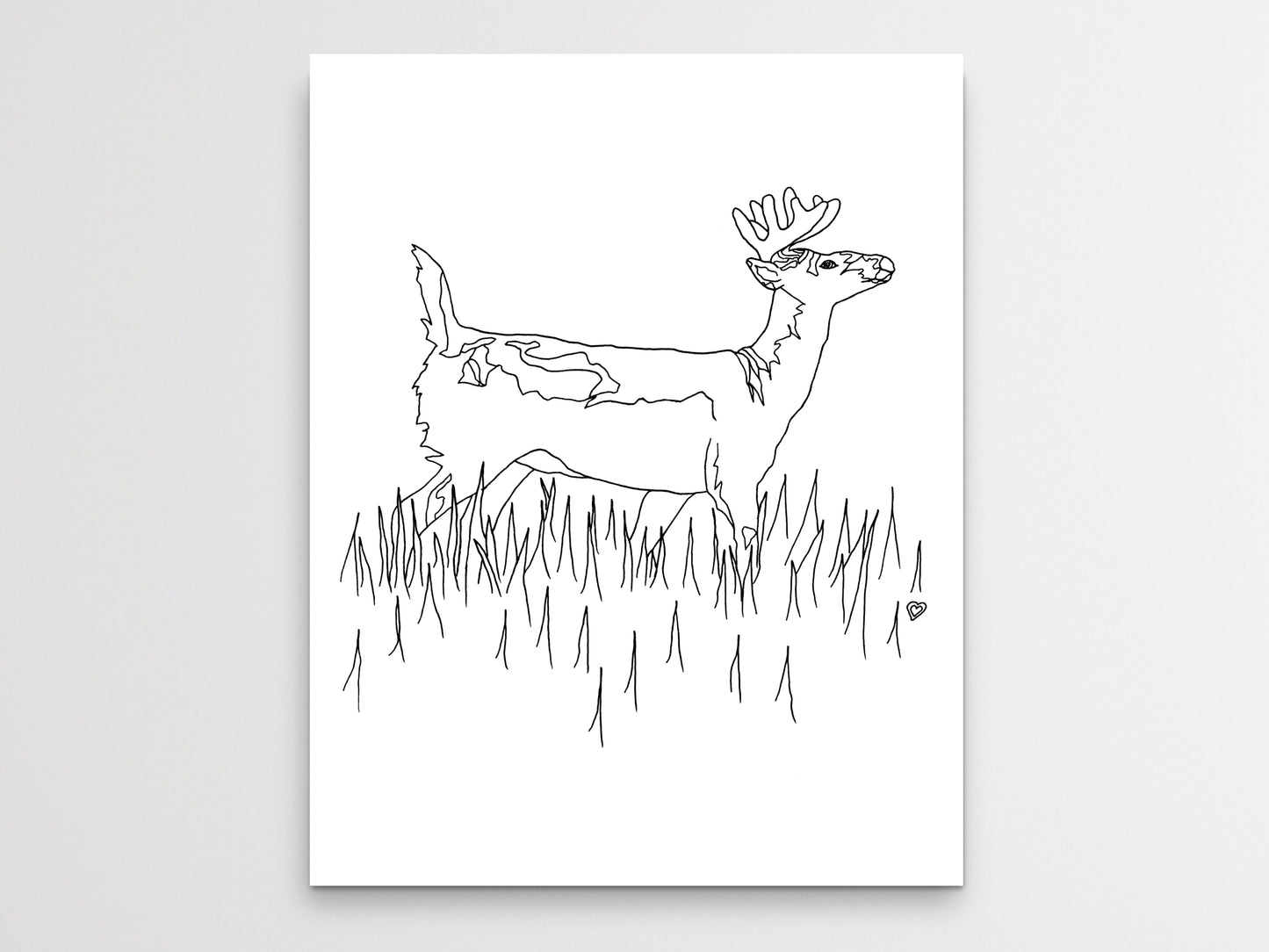 Pennsylvania State Deer. White Tailed Deer Art Print. Pennsylvania State Symbol Art