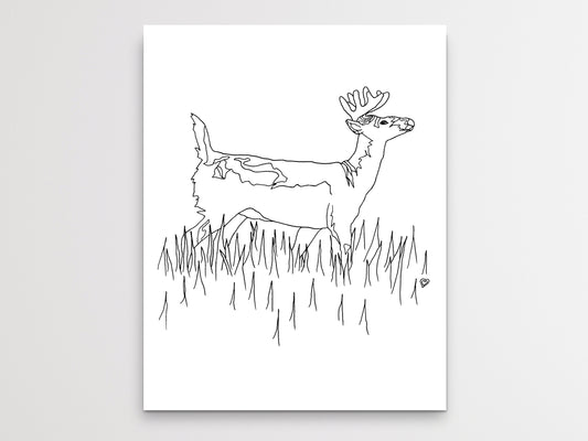 Pennsylvania State Deer. White Tailed Deer Art Print. Pennsylvania State Symbol Art