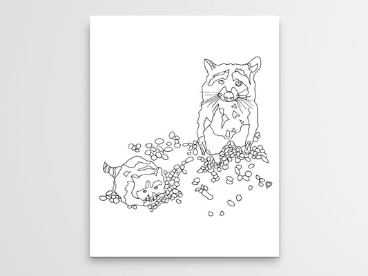 Raccoon Art Print