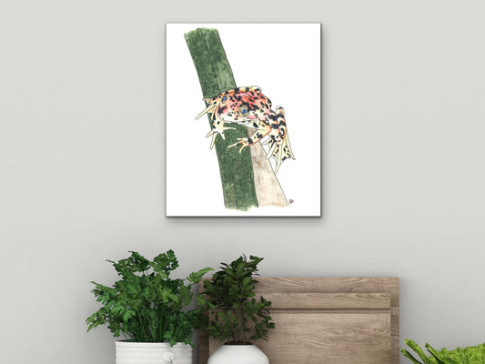 California State Frog. Red-Legged Frog Watercolor Art Print