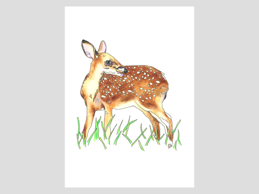 Set of 8 Pennsylvania State Symbol Art Prints