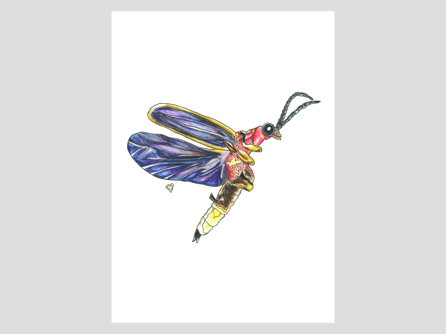 Firefly Watercolor Print