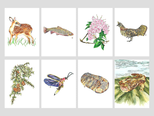 Set of 8 Pennsylvania State Symbol Art Prints