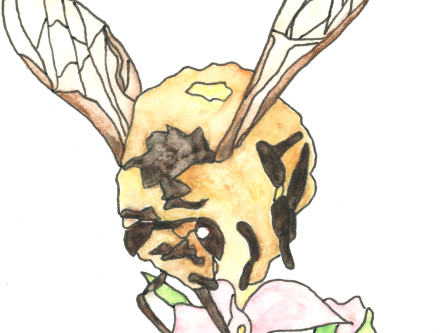 Honeybee Watercolor Art Print 2