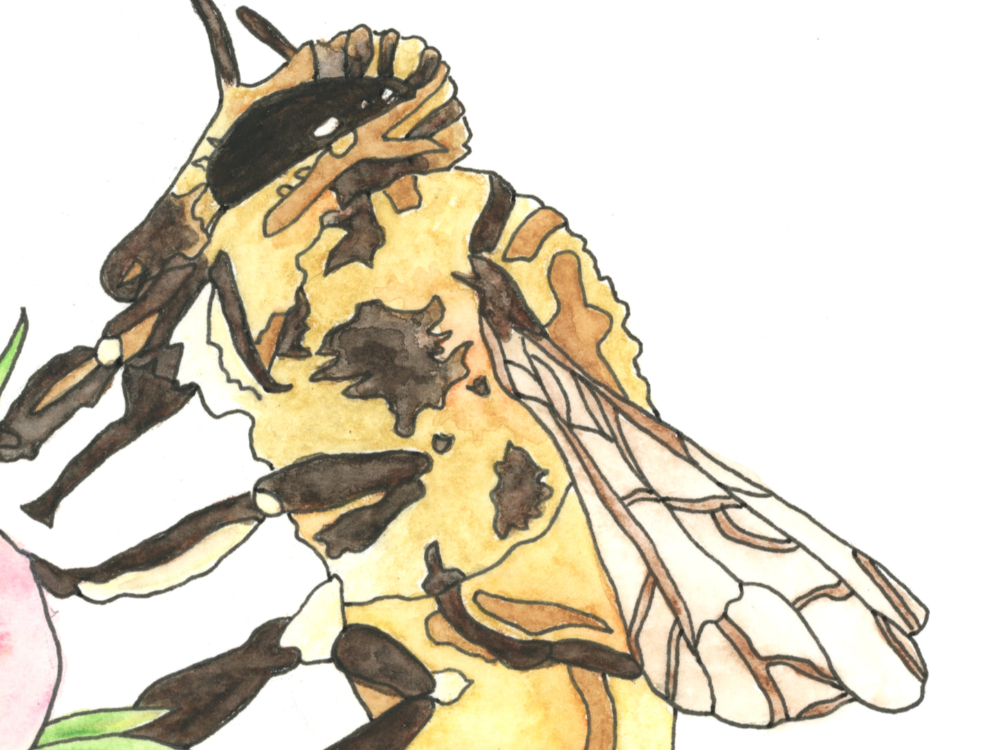 State Symbol Art. Honeybee Watercolor Art Print. State Symbol Art