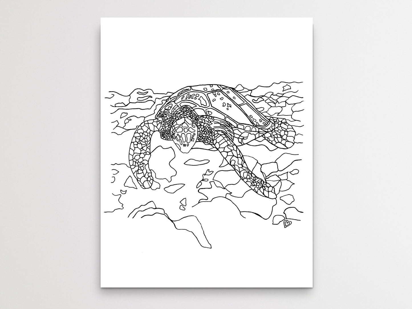 California State Turtle. Pacific Leatherback Sea Turtle Art Print. California State Symbol Sea Turtle Art