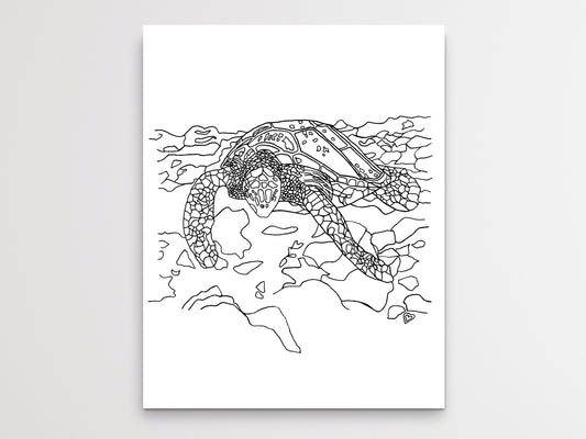 California State Turtle. Pacific Leatherback Sea Turtle Art Print. California State Symbol Sea Turtle Art
