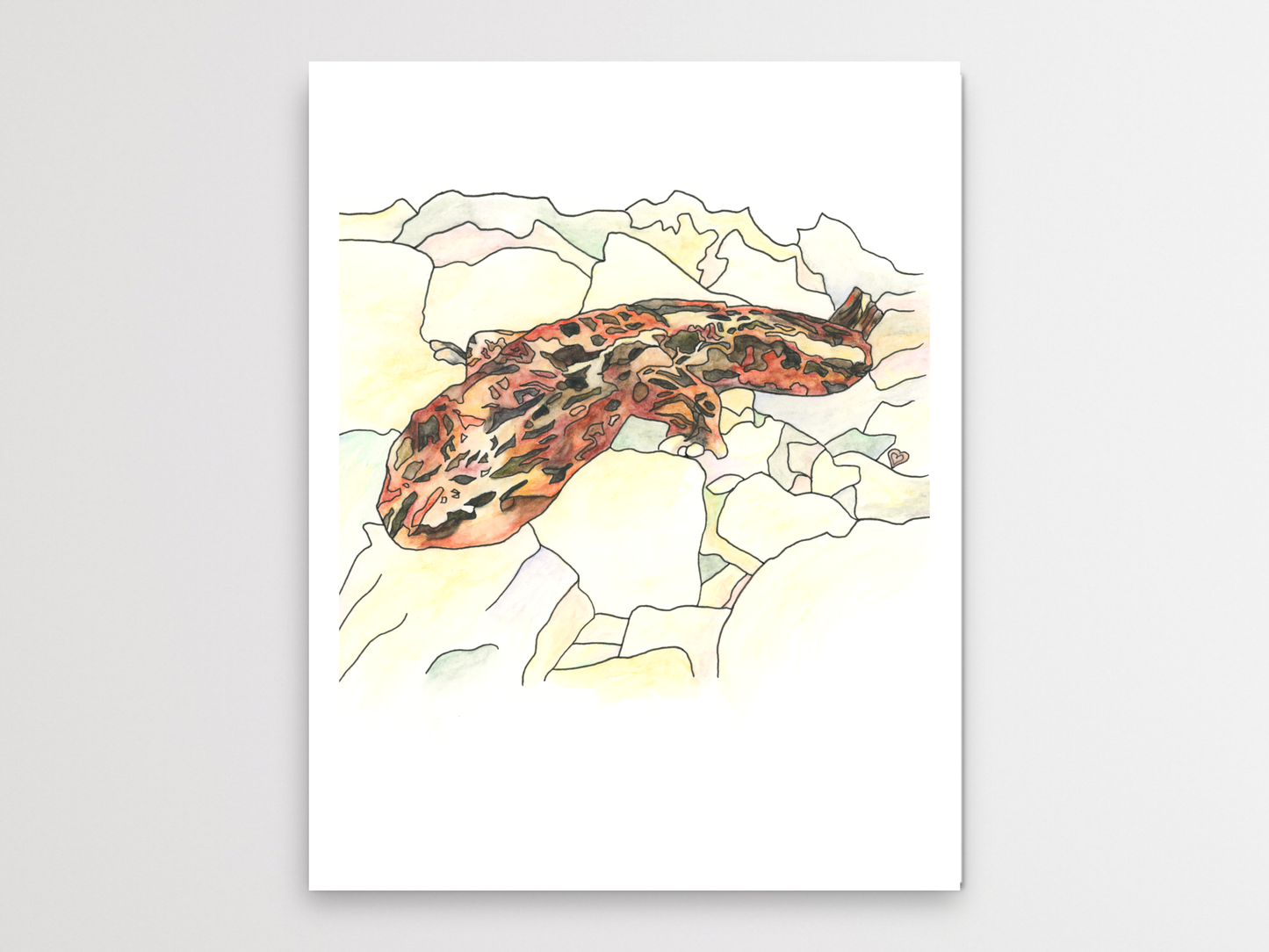 Hellbender 1 Watercolor Print