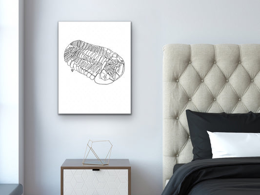 Trilobite Fossil Art Print. Phacops Rana Fossil. State Symbol Art