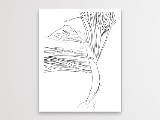 Palm Tree Line Art Print
