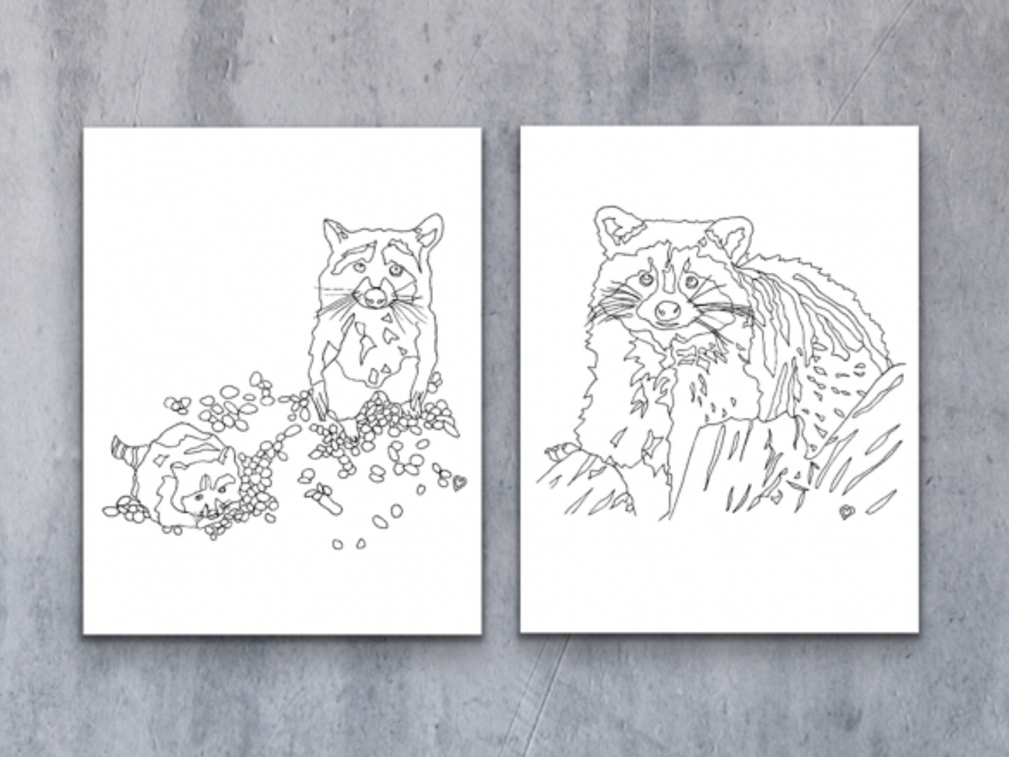 Raccoon Art Print. State Symbol Raccoon
