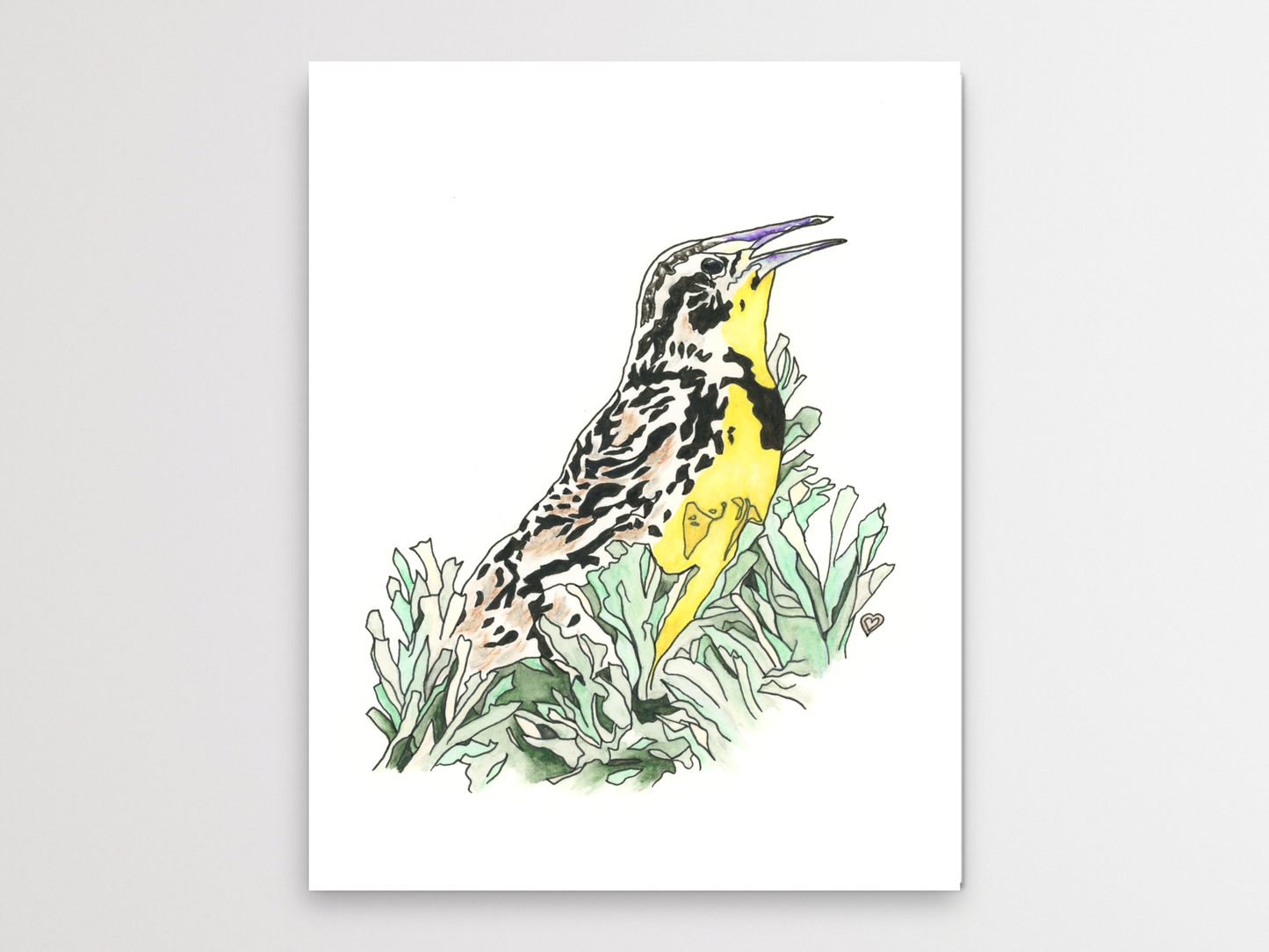 Western Meadowlark Watercolor Art Print. State Bird Art Print