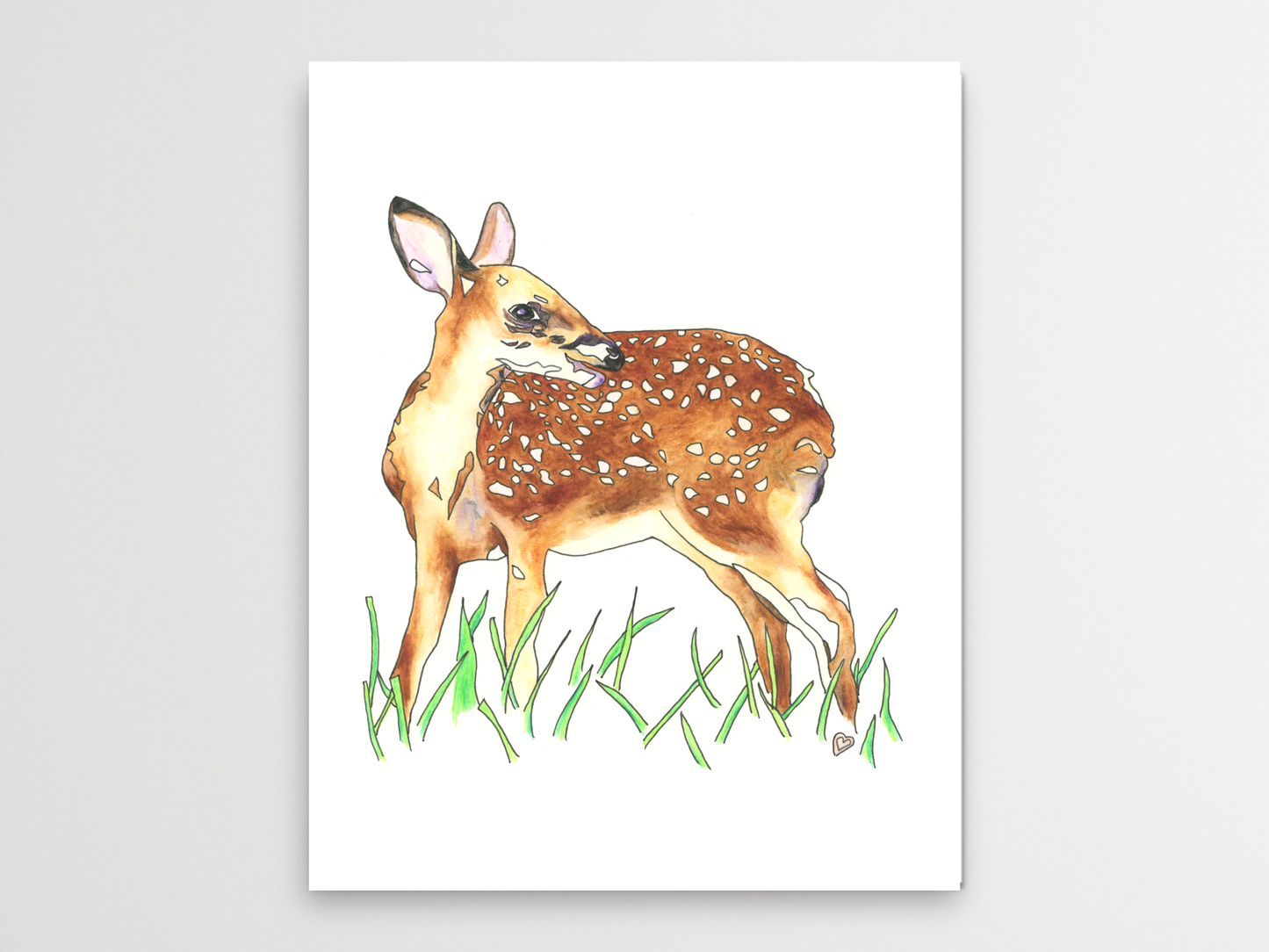 White Tailed Deer Fawn Art Print. State Symbol Deer Fawn