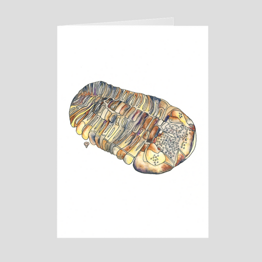Fossil Greeting Card
