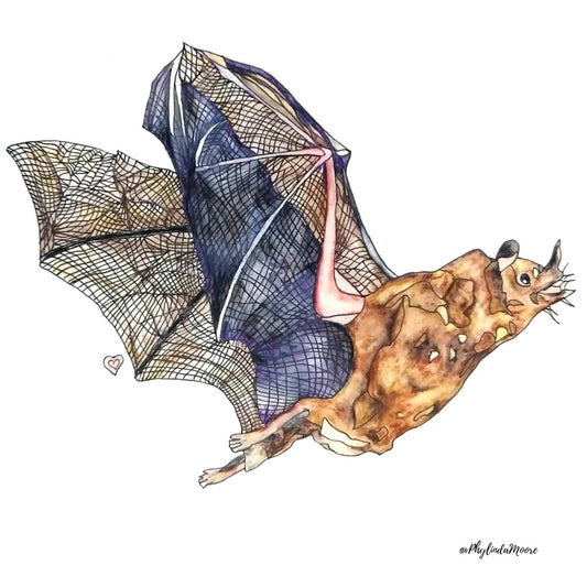 Bat Sticker