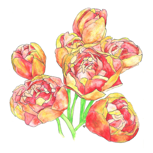 Heal Dualities