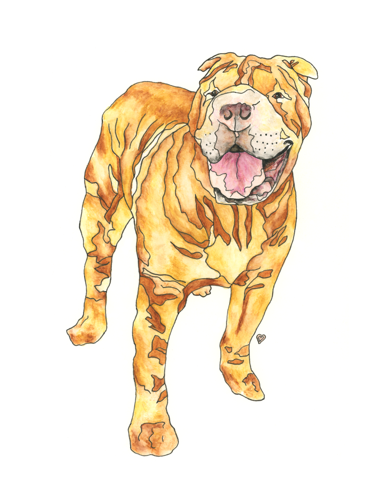 Custom Pet Portrait