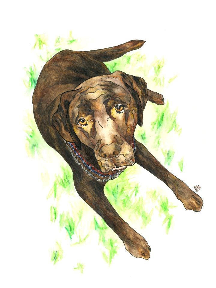 Custom Pet Portrait