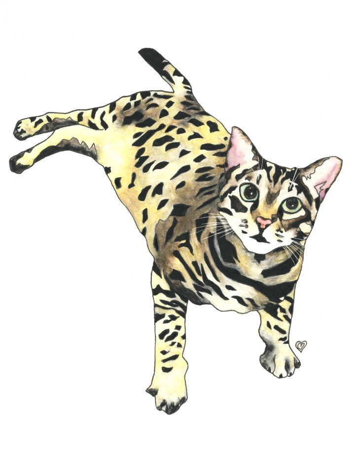 Custom Pet Portrait