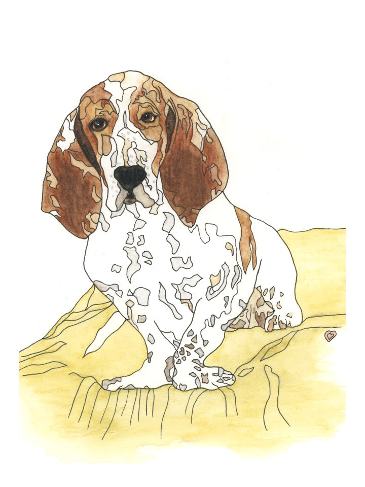 Custom Pet Portrait