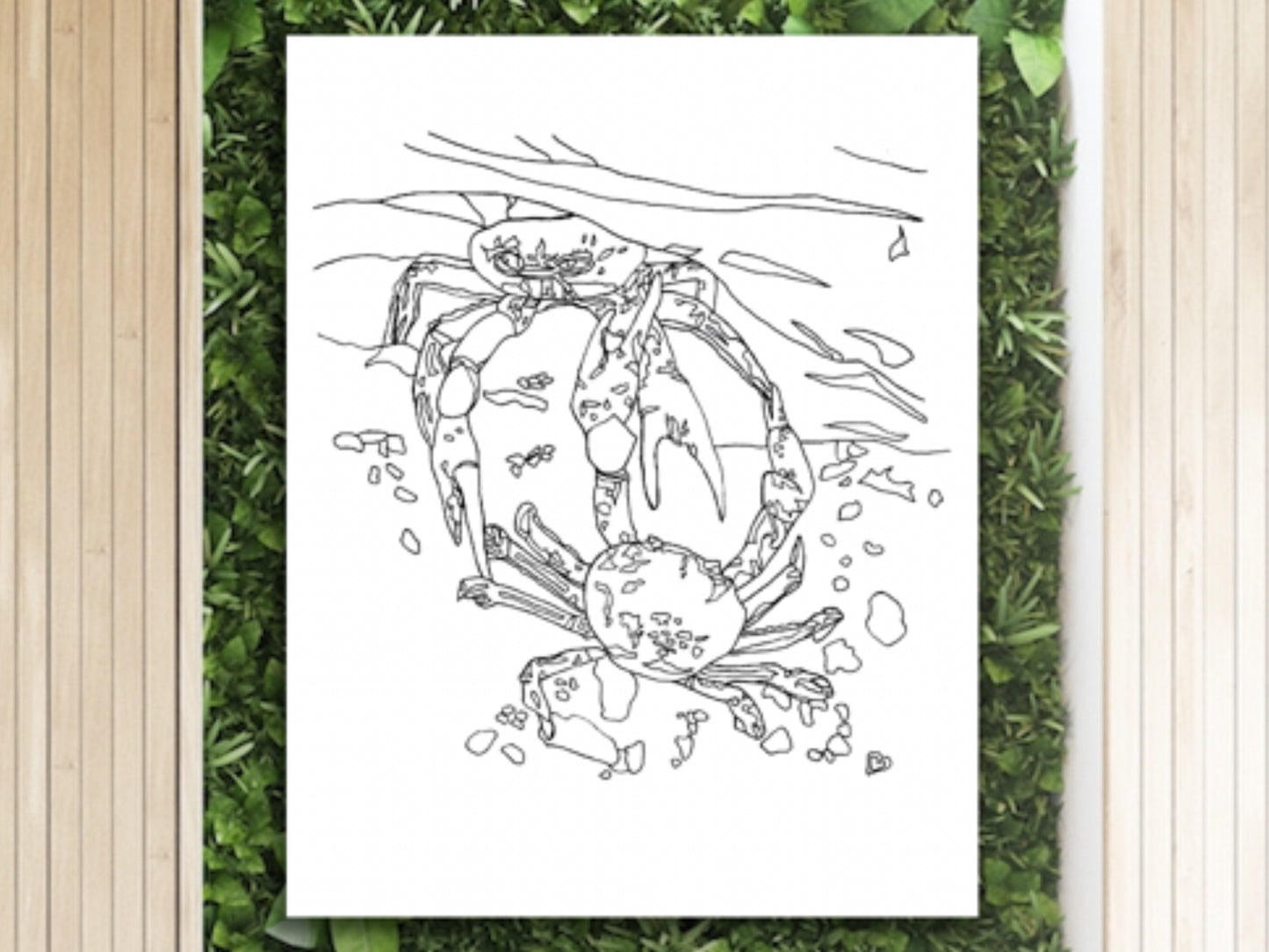 Maryland State Blue Crab. Blue Crab Line Art Print 2