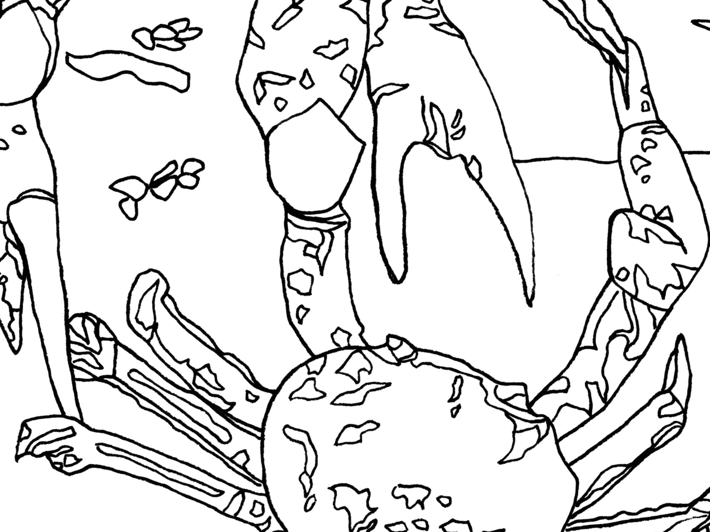 Maryland State Blue Crab. Blue Crab Line Art Print 2