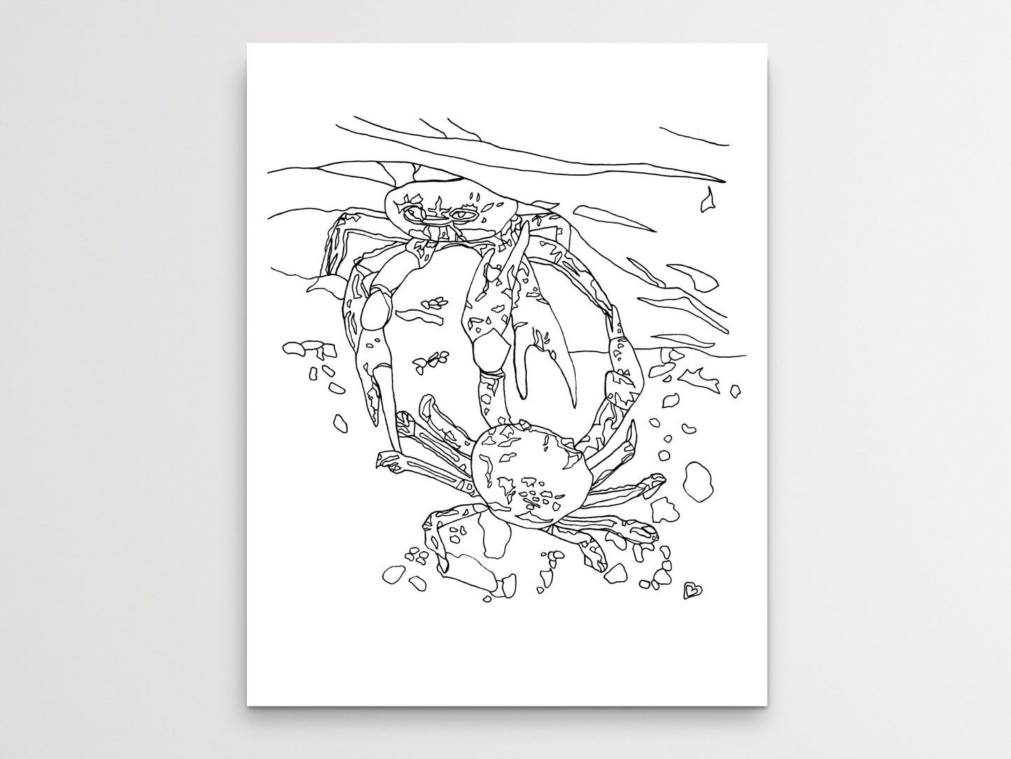 Maryland State Blue Crab. Blue Crab Line Art Print 2