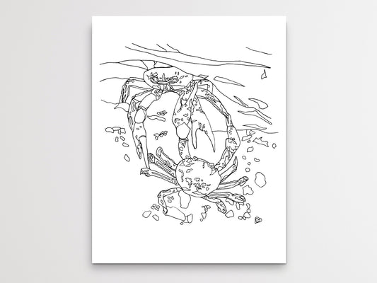 Maryland State Blue Crab. Blue Crab Line Art Print 2