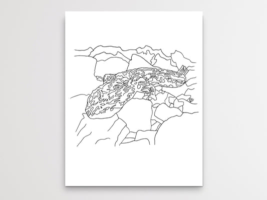 Pennsylvania State Hellbender 2. Eastern Hellbender Line Art Print