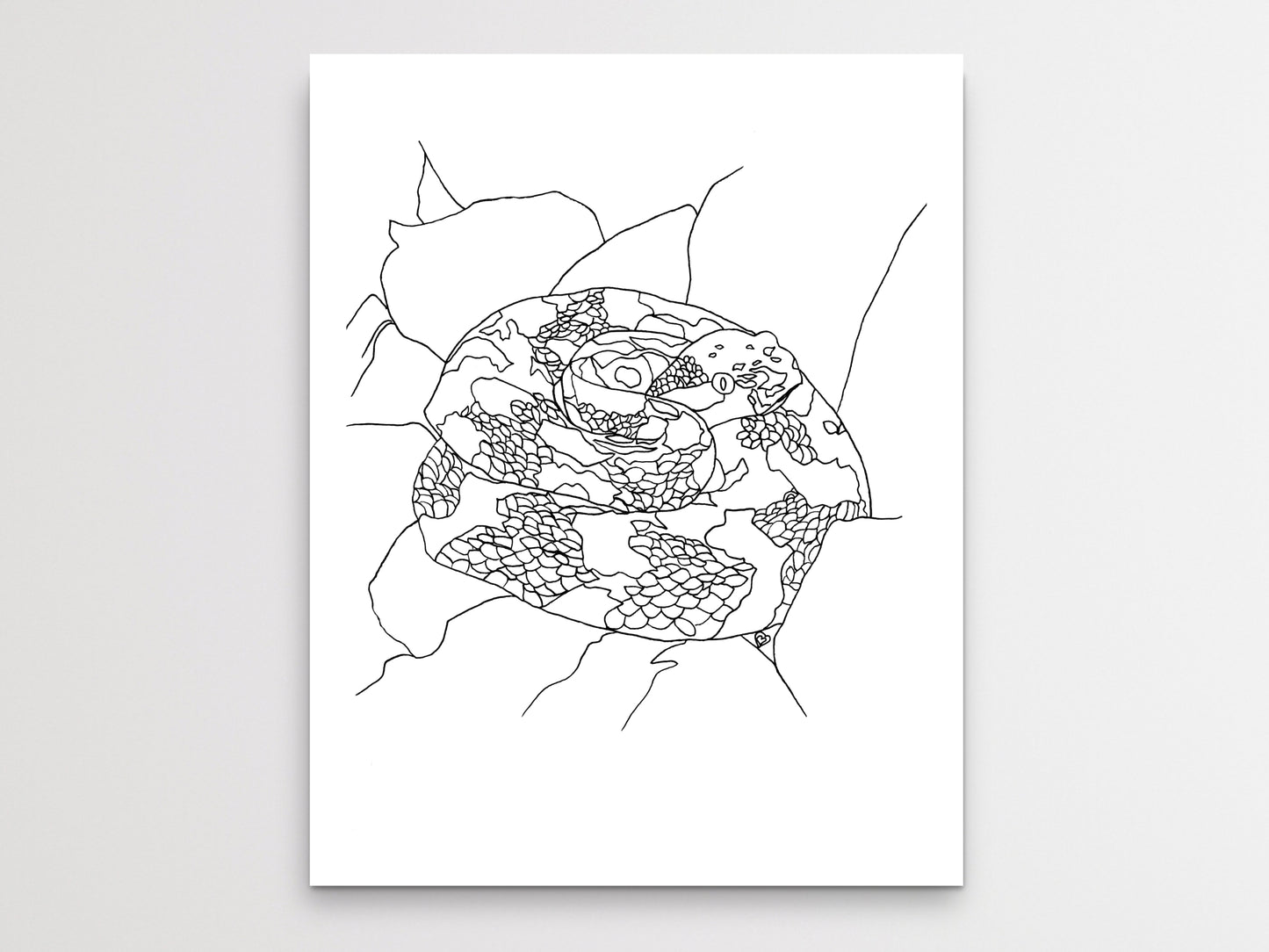 Pennsylvania State Snake. Eastern Timber Rattlesnake Art Print