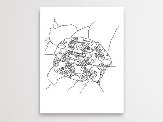 Pennsylvania State Snake. Eastern Timber Rattlesnake Art Print
