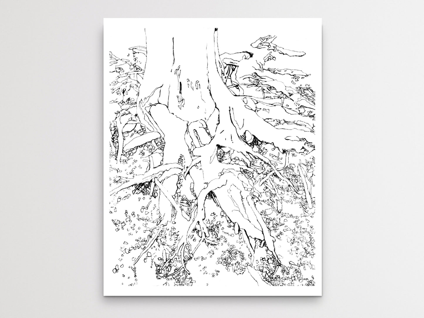 Tree Roots Line Art Print