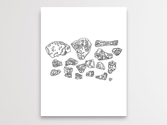 Maryland State Dinosaur Astrodon Johnstoni Bones Line Art Print. Maryland State Symbol