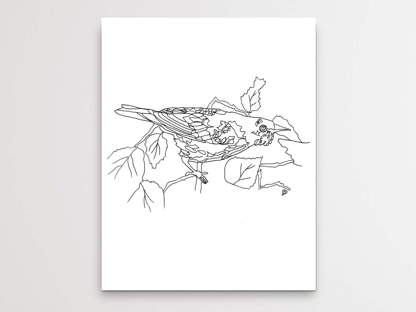 Maryland State Bird. Baltimore Oriole Line Art Print