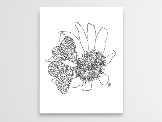 Maryland State Butterfly Print. Baltimore Checkerspot Butterfly Art