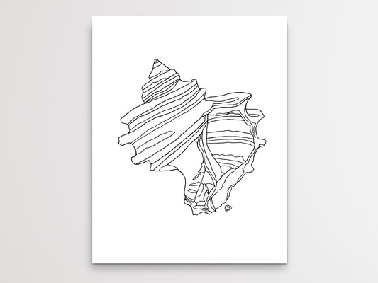 Maryland State Fossil Art. Ecphora Gardnerae Art Print