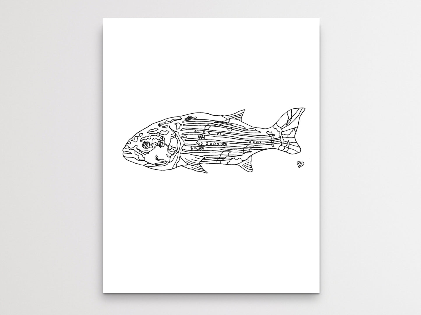 Maryland State Fish. Rockfish Art Print. Maryland State Symbol Art