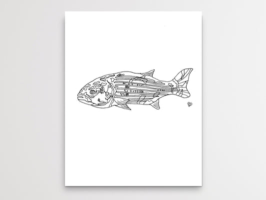 Maryland State Fish. Rockfish Art Print. Maryland State Symbol Art