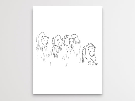 Oklahoma State Buffalo Line Art Print
