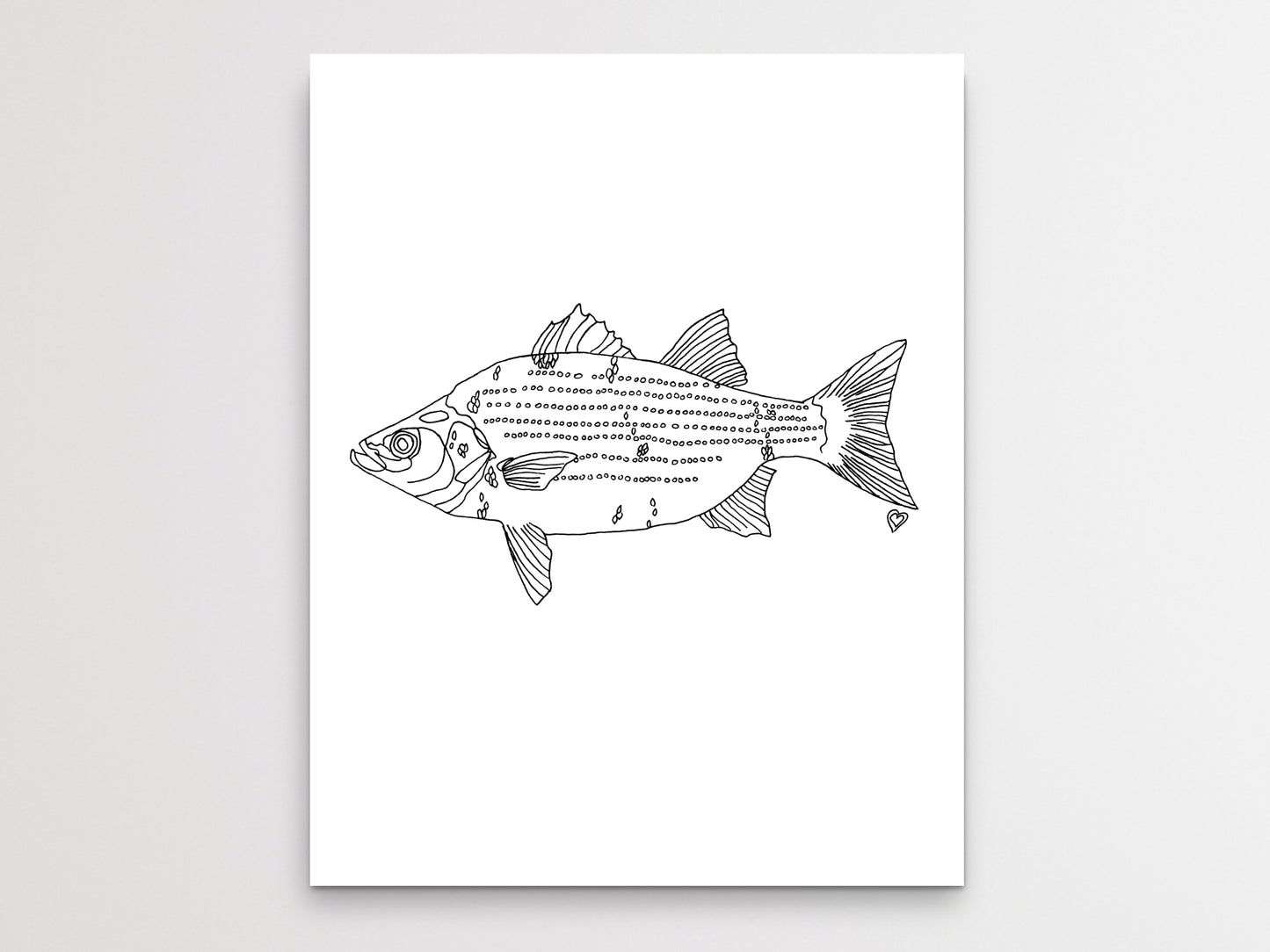 Oklahoma State Fish. White Bass Art Print. Oklahoma State Symbol Art