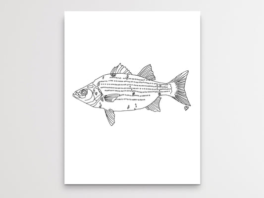 Oklahoma State Fish. White Bass Art Print. Oklahoma State Symbol Art