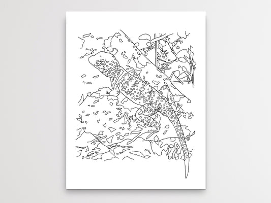 Oklahoma State Lizard. Collared Lizard Line Art Print